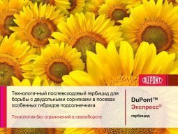 Фото - Гербіцид Експрес 75 0.5кг