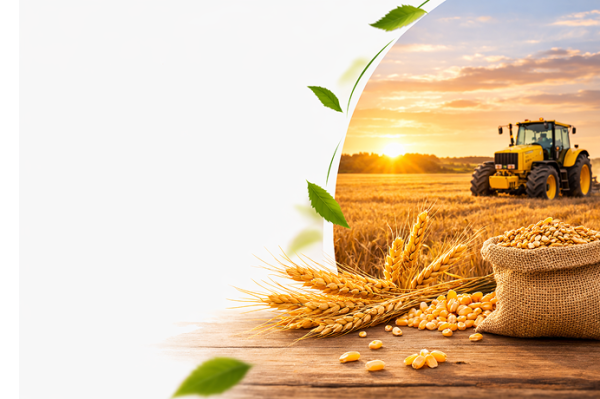 Фото - банер на сторінці товара